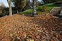 Parco Europa Autunno_050